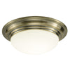 Barclay Flush Large Antique Brass IP44 by Dar Lighting