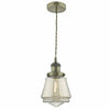 Curtis 1lt Pendant Antique Brass & Champagne Glass by Dar Lighting